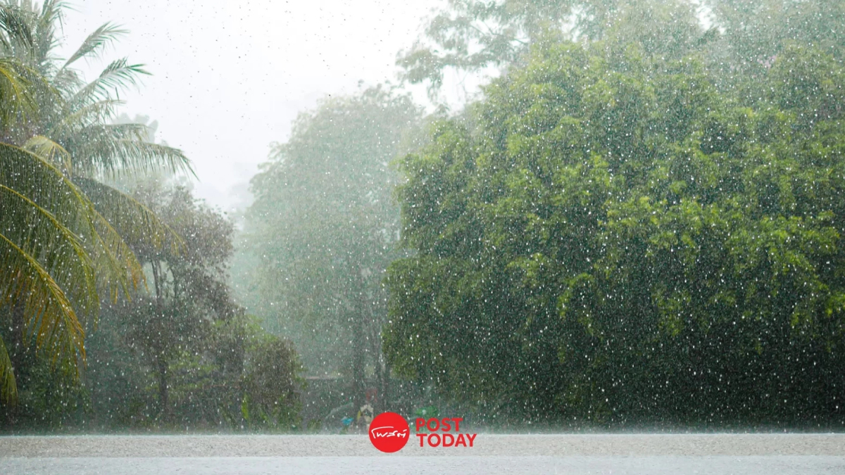 พยากรณ์อากาศ13สิงหาคม68 กรมอุตุฯเตือนภัย4จังหวัดฝนกระหน่ำ พยากรณ์อากาศ13สิงหาคม68 กรมอุตุฯเตือนภัย4จังหวัดฝนกระหน่ำ