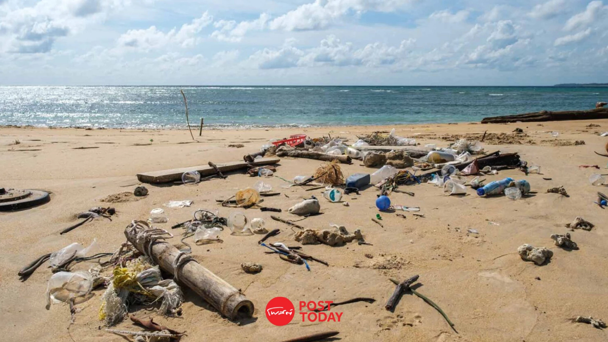 จุฬาฯ-The Ocean Cleanup ผสาน AI ตรวจจับขยะเจ้าพระยา จัดการมลพิษ จุฬาฯ-The Ocean Cleanup ผสาน AI ตรวจจับขยะเจ้าพระยา จัดการมลพิษ