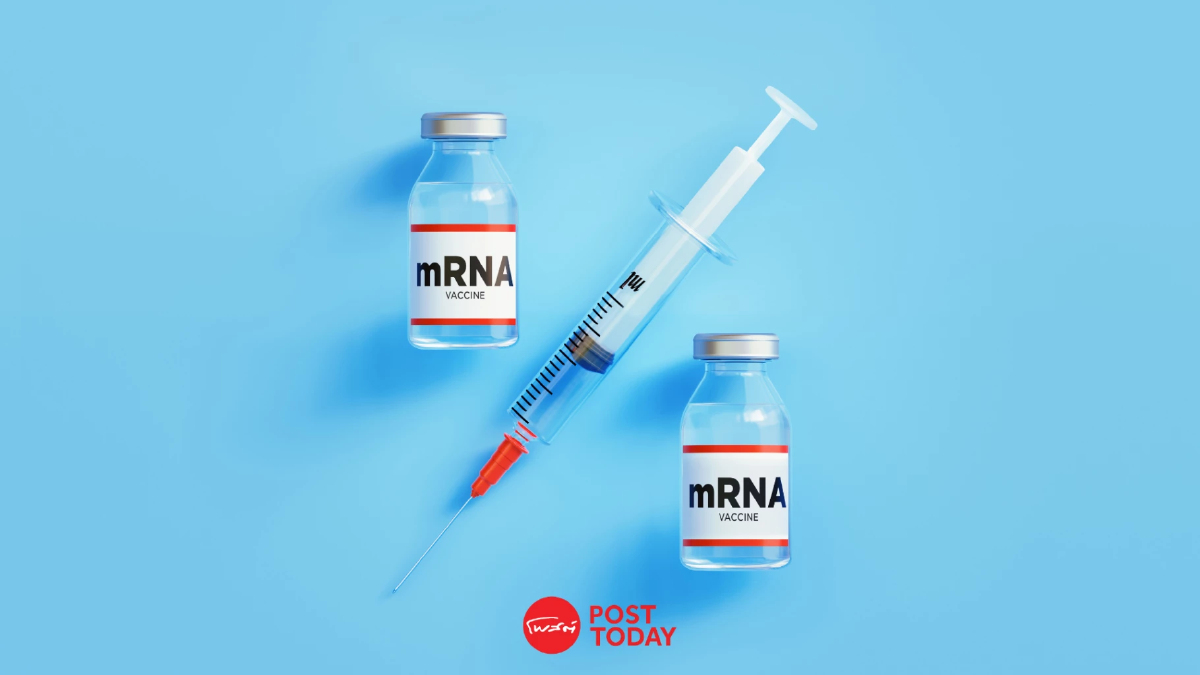 งานวิจัยพบ ผลพลอยได้ของ ‘วัคซีน mRNA’ อาจเพิ่มอัตรารอดชีวิตจากมะเร็งได้นานขึ้น งานวิจัยพบ ผลพลอยได้ของ ‘วัคซีน mRNA’ อาจเพิ่มอัตรารอดชีวิตจากมะเร็งได้นานขึ้น