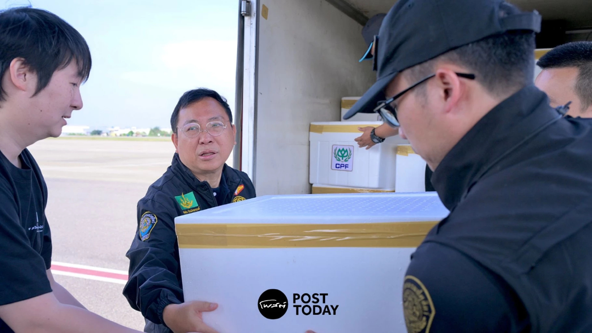 กรมปศุสัตว์บินด่วน! "ส่งเสบียง-อาหารสัตว์" ช่วยน้ำท่วมสงขลา กรมปศุสัตว์บินด่วน! "ส่งเสบียง-อาหารสัตว์" ช่วยน้ำท่วมสงขลา