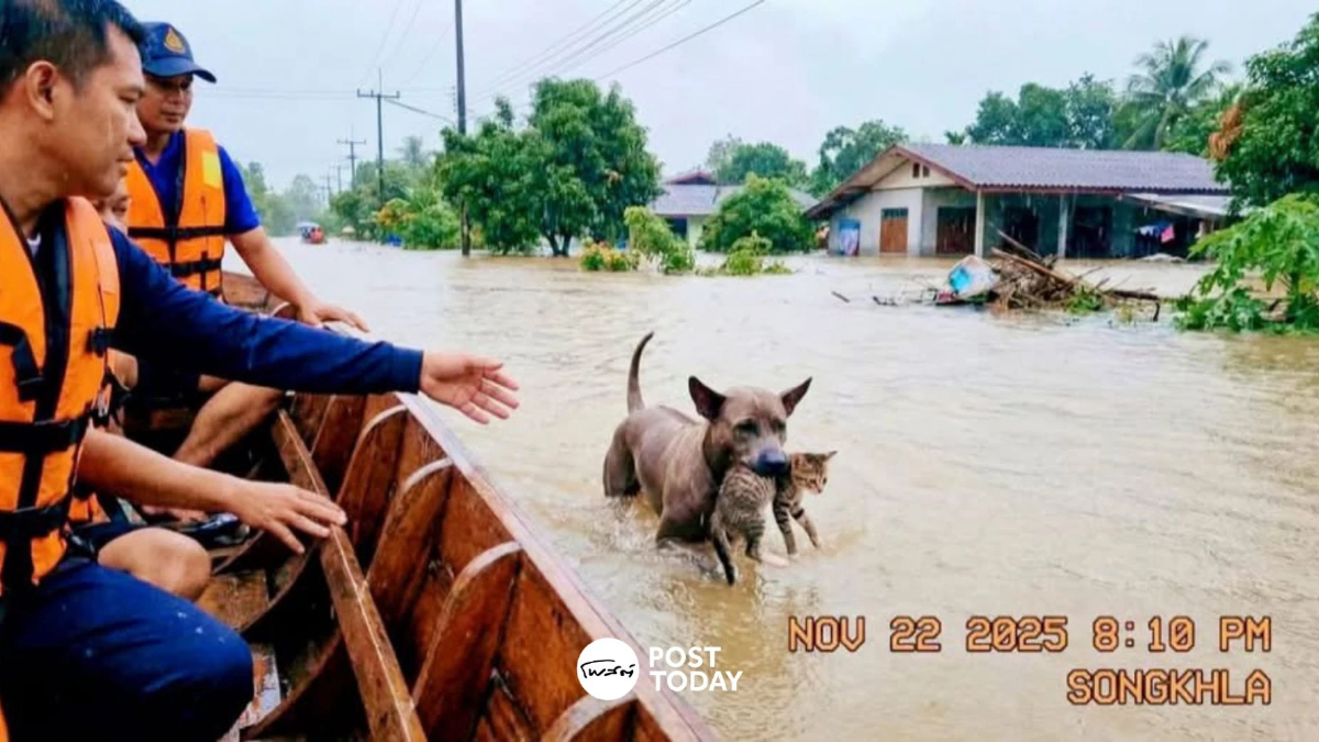ตำรวจไซเบอร์เตือน แชร์ข่าวปลอมอาจตกเป็นเหยื่อมิจฉาชีพ ตำรวจไซเบอร์เตือน แชร์ข่าวปลอมอาจตกเป็นเหยื่อมิจฉาชีพ