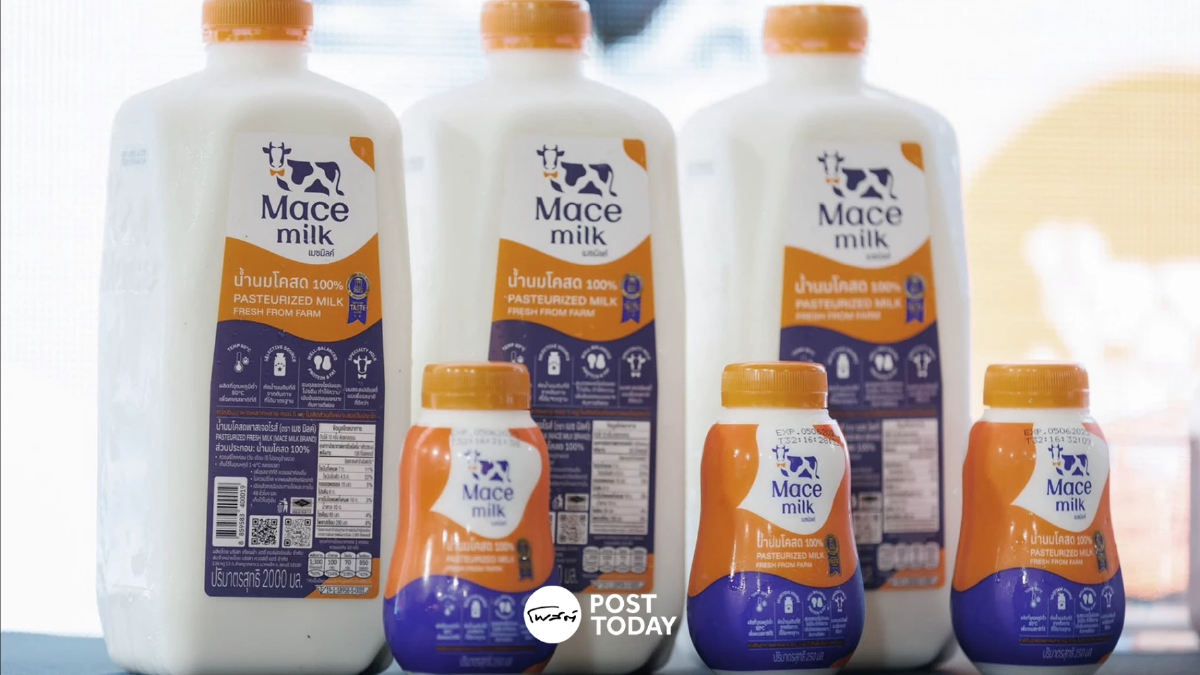 Mace Milk ย้ำผู้ผลิตนมโคทุกราย สำคัญต่ออุตสาหกรรมเลี้ยงโคนม Mace Milk ย้ำผู้ผลิตนมโคทุกราย สำคัญต่ออุตสาหกรรมเลี้ยงโคนม