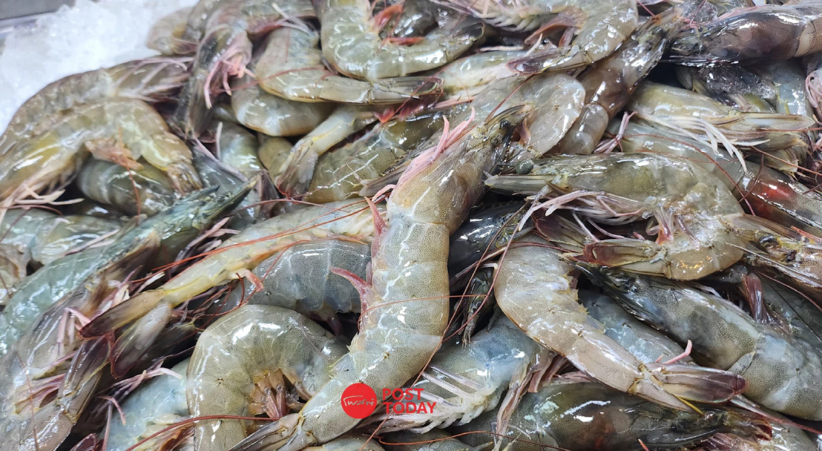 น้ำท่วม กระทบกุ้งภาคใต้ สมาคมฯ ขอรัฐอัดงบพันล้านฟื้นฟูด่วน น้ำท่วม กระทบกุ้งภาคใต้ สมาคมฯ ขอรัฐอัดงบพันล้านฟื้นฟูด่วน