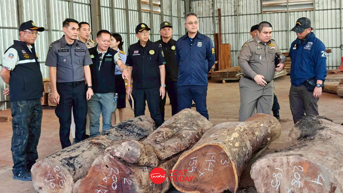 ยึดไม้เถื่อน! นายทุนจีน พบ ลักลอบตัดจากเขตอุทยาน มูลค่ารวม 300 ล้าน ยึดไม้เถื่อน! นายทุนจีน พบ ลักลอบตัดจากเขตอุทยาน มูลค่ารวม 300 ล้าน