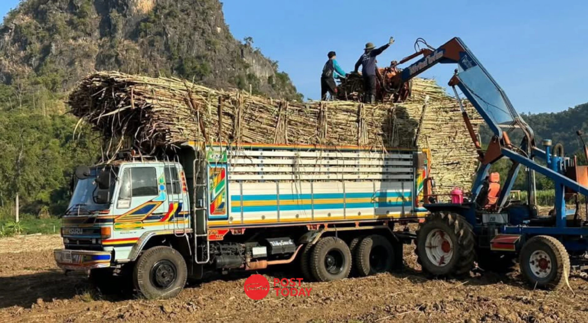 กรมควบคุมมลพิษ คุมเข้มโรงงานน้ำตาล–โรงไฟฟ้าชีวมวล ลดฝุ่น รับมือหมอกควันปี 69 กรมควบคุมมลพิษ คุมเข้มโรงงานน้ำตาล–โรงไฟฟ้าชีวมวล ลดฝุ่น รับมือหมอกควันปี 69