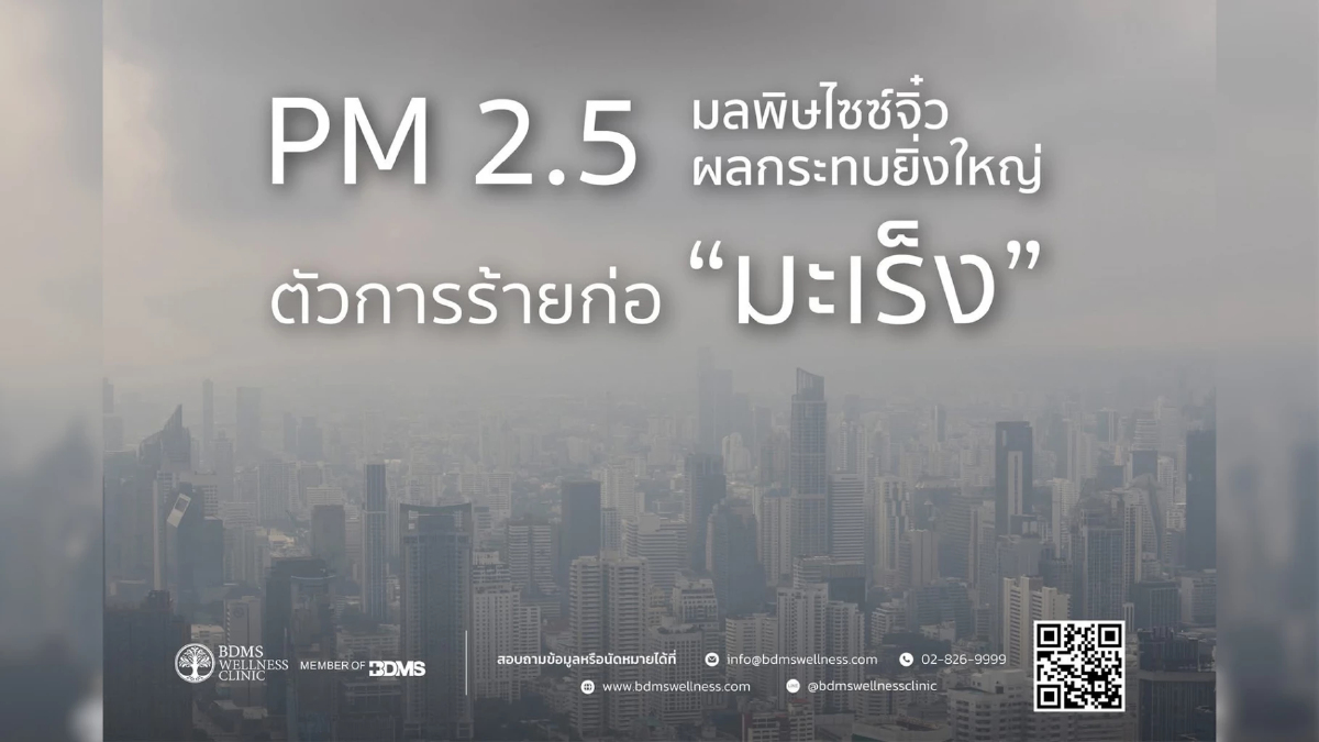 หมอแอมป์เตือน PM2.5 มัจจุราชไร้เสียง เร่งแก่-บั่นทอน Wellness ไทย หมอแอมป์เตือน PM2.5 มัจจุราชไร้เสียง เร่งแก่-บั่นทอน Wellness ไทย