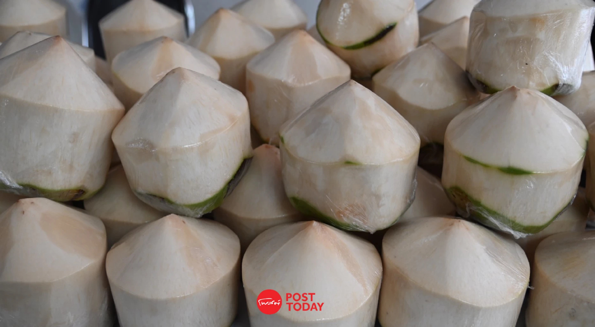 พาณิชย์รับมะพร้าวน้ำหอม 2 แสนลูก เปิด 20 จุดกระจายทั่วกทม.ปริมณฑล พาณิชย์รับมะพร้าวน้ำหอม 2 แสนลูก เปิด 20 จุดกระจายทั่วกทม.ปริมณฑล