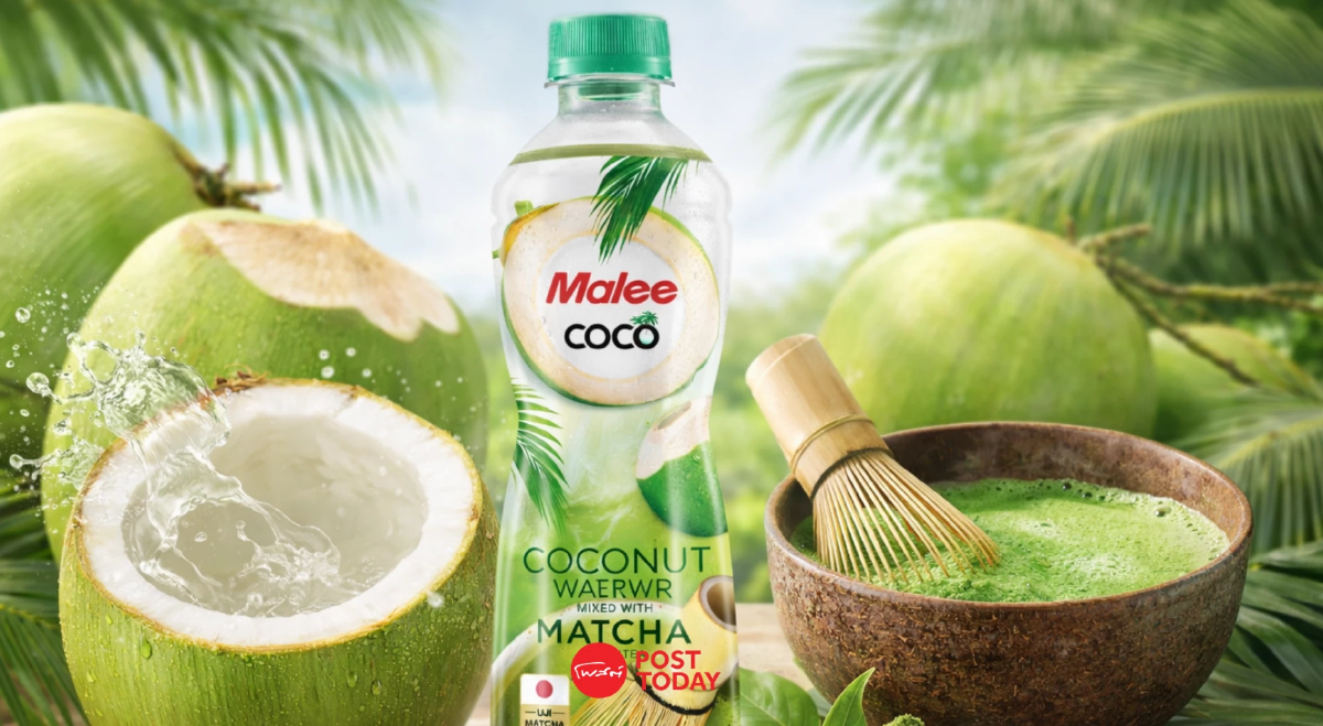 MALEE เปิดตัวน้ำมะพร้าวมัทฉะ เสริมพอร์ต จับเทรนด์ Wellness มาแรง MALEE เปิดตัวน้ำมะพร้าวมัทฉะ เสริมพอร์ต จับเทรนด์ Wellness มาแรง