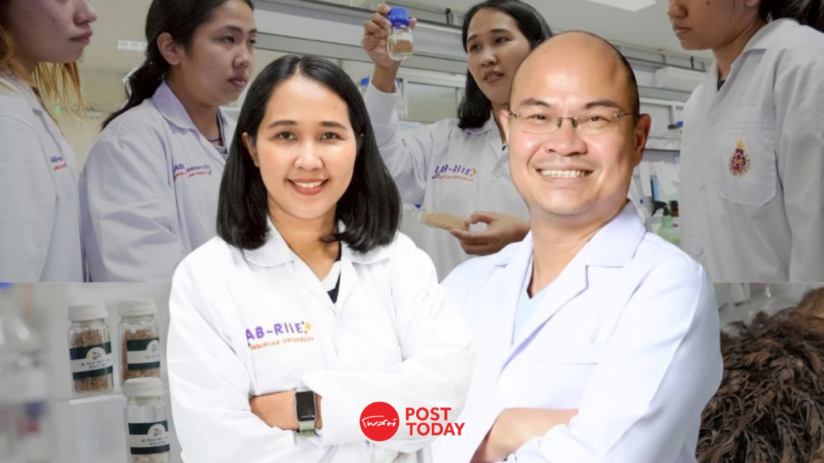 ม.วลัยลักษณ์เสกขยะปาล์มหลักสตางค์ สู่สารเคมีมูลค่าหลักล้าน ม.วลัยลักษณ์เสกขยะปาล์มหลักสตางค์ สู่สารเคมีมูลค่าหลักล้าน