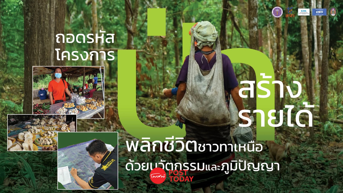 “ป่าสร้างรายได้” พลิกชีวิตชาวทาเหนือด้วยนวัตกรรมและภูมิปัญญา “ป่าสร้างรายได้” พลิกชีวิตชาวทาเหนือด้วยนวัตกรรมและภูมิปัญญา