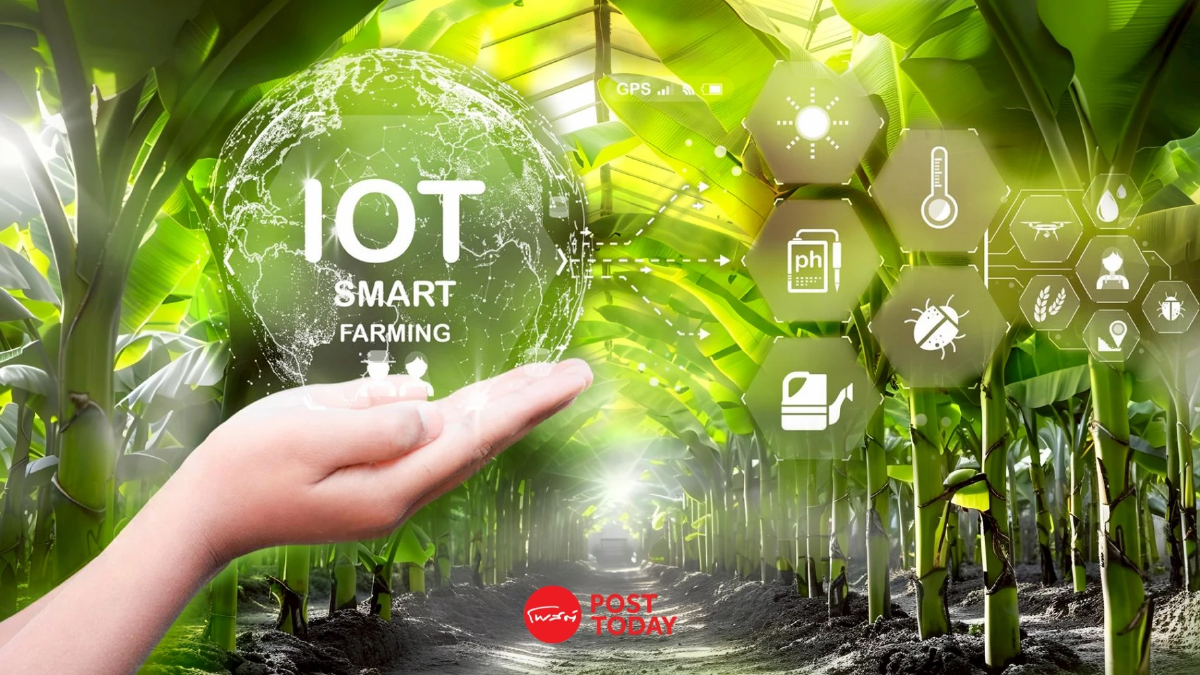 ชุมชนบ้านสุขเจริญ นครพนม ชู IoT Smart Farm หนุนผลผลิตกล้วยขายทั้งปี ชุมชนบ้านสุขเจริญ นครพนม ชู IoT Smart Farm หนุนผลผลิตกล้วยขายทั้งปี