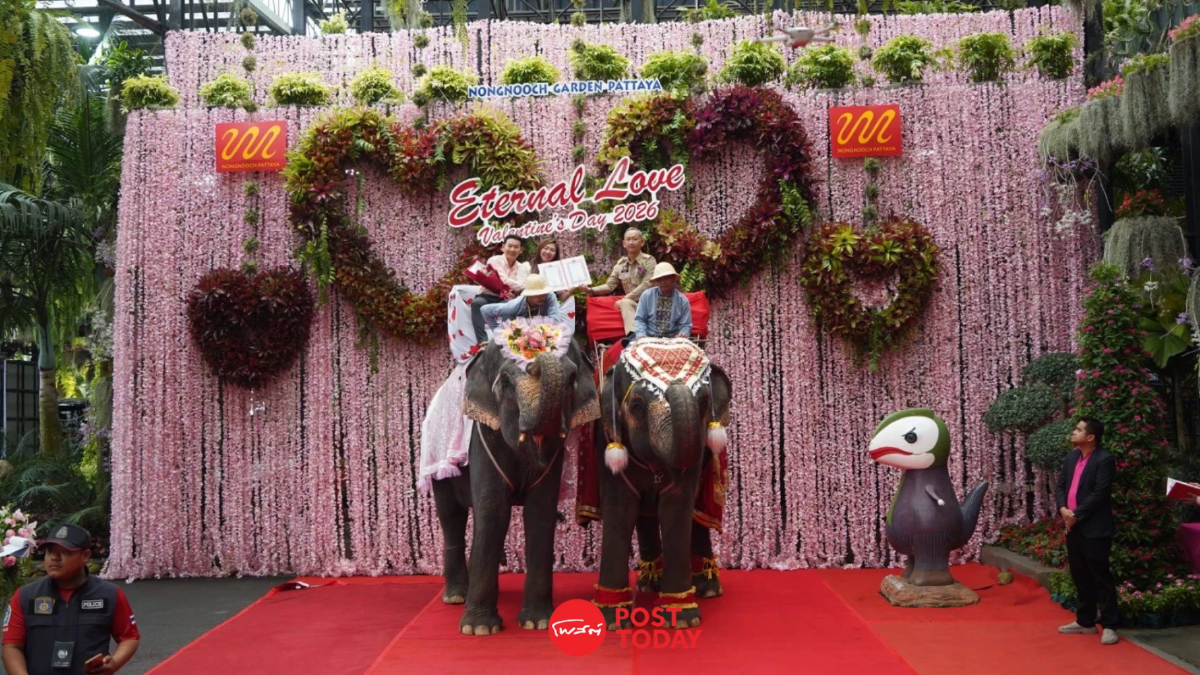 วาเลนไทน์บนหลังช้าง! สวนนงนุชพัทยาจัดจดทะเบียนสมรส 9 คู่ วาเลนไทน์บนหลังช้าง! สวนนงนุชพัทยาจัดจดทะเบียนสมรส 9 คู่