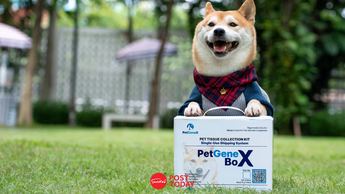 PetGeneX ธนาคารสเต็มเซลล์สัตว์เลี้ยงจากเลือดรายแรกของไทย! PetGeneX ธนาคารสเต็มเซลล์สัตว์เลี้ยงจากเลือดรายแรกของไทย!