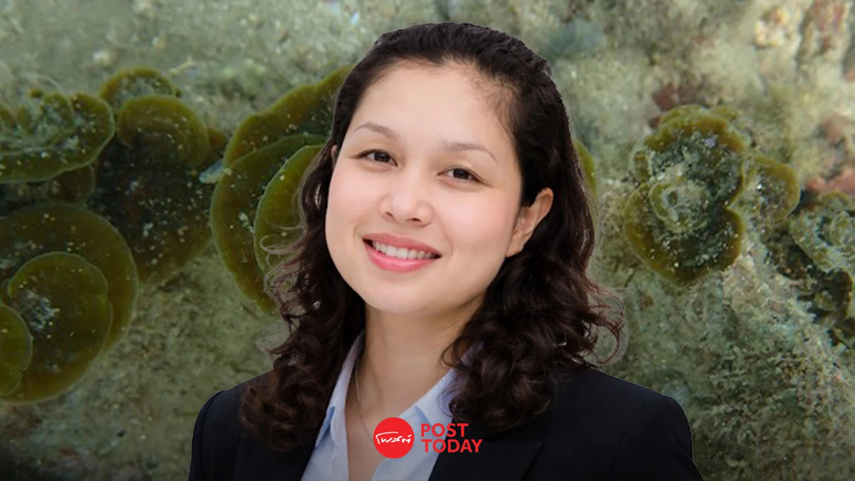 มก.พบสาหร่ายทะเล4ชนิดใหม่ของโลกในอ่าวไทยย้ำความอุดมสมบูรณ์ มก.พบสาหร่ายทะเล4ชนิดใหม่ของโลกในอ่าวไทยย้ำความอุดมสมบูรณ์