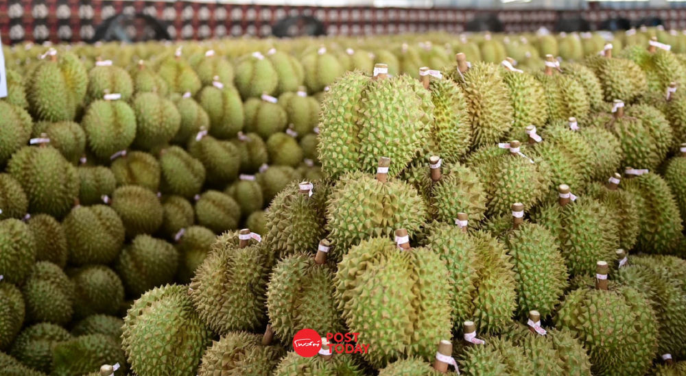 "ศุภจี” สั่งปั๊มยอดส่งออกผลไม้ ลุยโปรโมตจีน เกาหลี อินเดียเพิ่ม