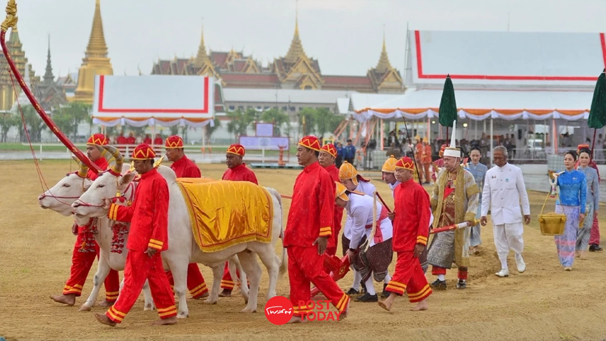 กระทรวงเกษตรฯชวนลงทะเบียนรับพันธุ์ข้าวพระราชทาน พระราชพิธีพืชมงคลฯ 69 กระทรวงเกษตรฯชวนลงทะเบียนรับพันธุ์ข้าวพระราชทาน พระราชพิธีพืชมงคลฯ 69