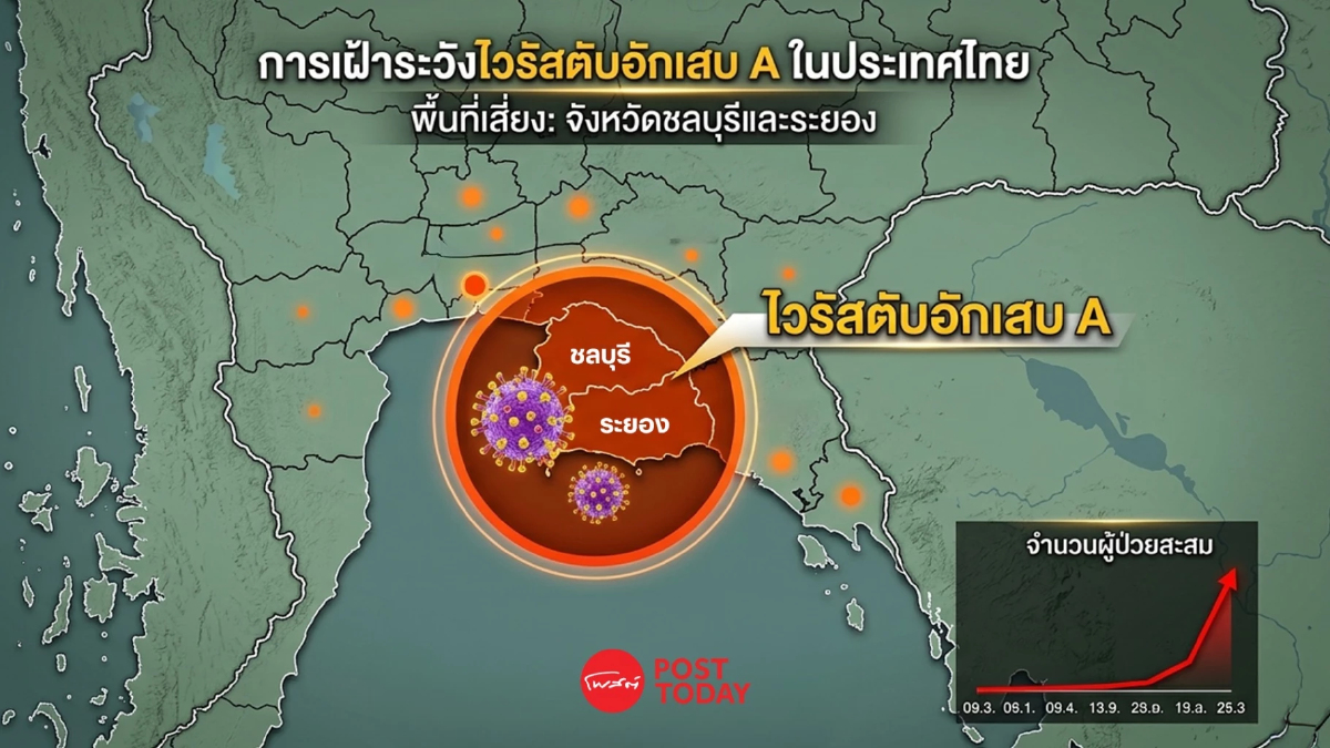 เตือน! “โรคไวรัสตับอักเสบเอ” ระบาดในภาคตะวันออก พบคลัสเตอร์หลักพื้นที่ "ชลบุรี" เตือน! “โรคไวรัสตับอักเสบเอ” ระบาดในภาคตะวันออก พบคลัสเตอร์หลักพื้นที่ "ชลบุรี"