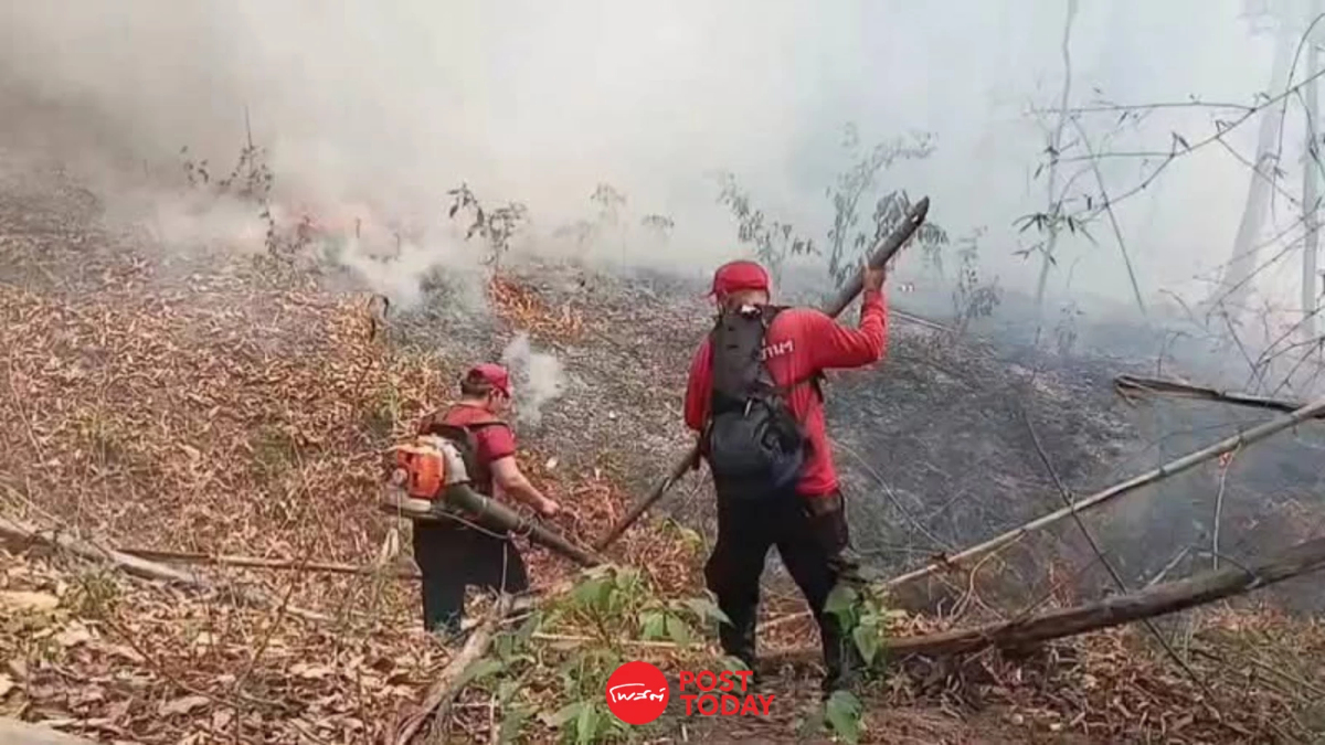 ค่าฝุ่นPM2.5 "เกินมาตรฐาน" 50 จังหวัดทั่วประเทศ หนักสุดที่ อ.เชียงดาว ค่าฝุ่นPM2.5 "เกินมาตรฐาน" 50 จังหวัดทั่วประเทศ หนักสุดที่ อ.เชียงดาว