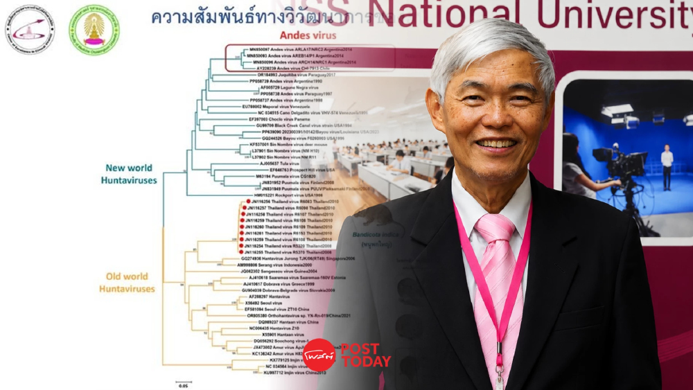 'หมอยง'ชี้ไวรัสฮันตาในไทยเสี่ยงต่ำมาก-เผยคนละสายพันธุ์กับแอนดีส 'หมอยง'ชี้ไวรัสฮันตาในไทยเสี่ยงต่ำมาก-เผยคนละสายพันธุ์กับแอนดีส