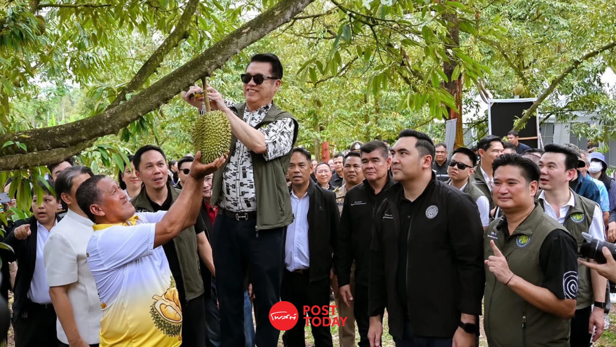 เกษตรฯ Kick Off ทุเรียนคาร์บอนต่ำ โชว์แปลงต้นแบบ ลดเคมี-ลดต้นทุน เกษตรฯ Kick Off ทุเรียนคาร์บอนต่ำ โชว์แปลงต้นแบบ ลดเคมี-ลดต้นทุน