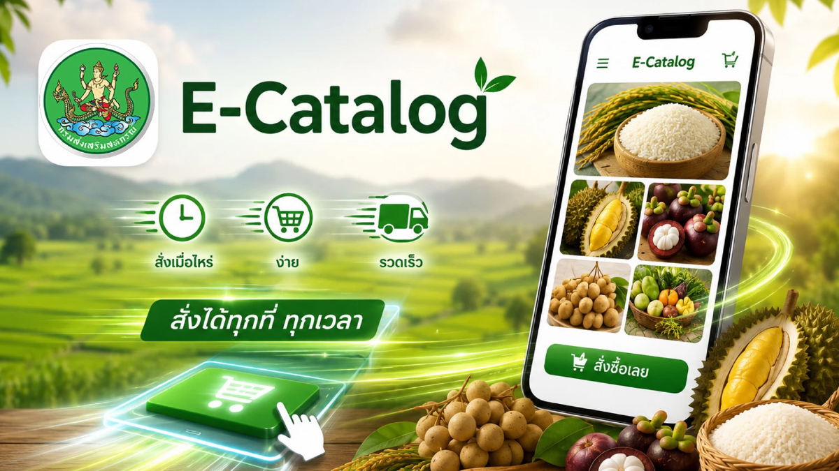 “E-Catalog” ซื้อขายสินค้าสหกรณ์ทั่วไทย เชื่อมศูนย์กระจายฯ ช้อปออนไลน์บนมือถือ