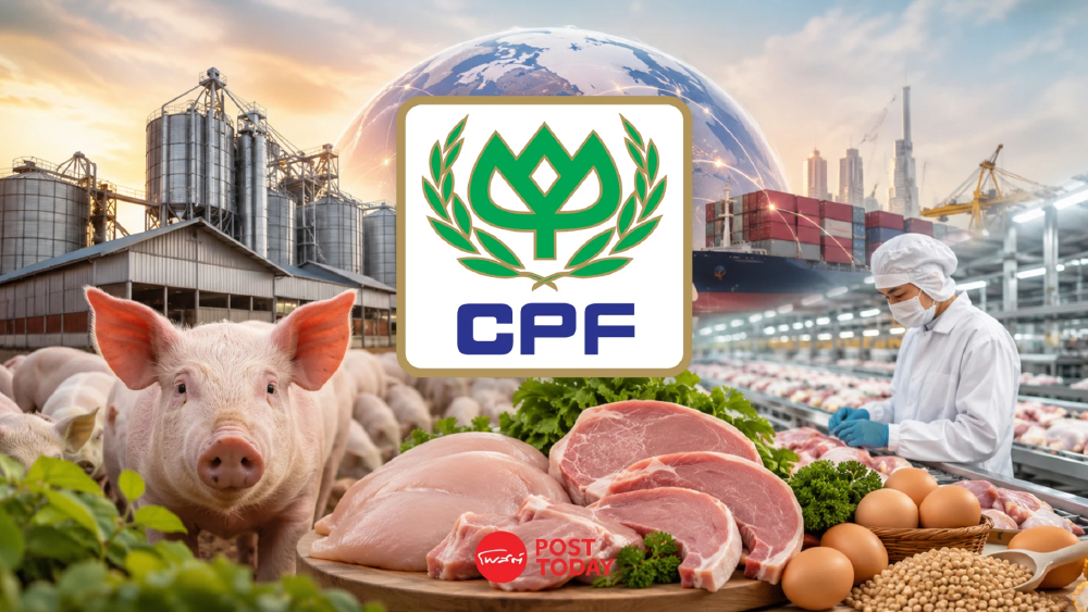 CPF ไตรมาส 1/69 กำไรวูบ 43% เซ่นหมูราคาตก จีน-ไทยกดดันหนัก ท่ามกลางต้นทุนพลังงานพุ่ง