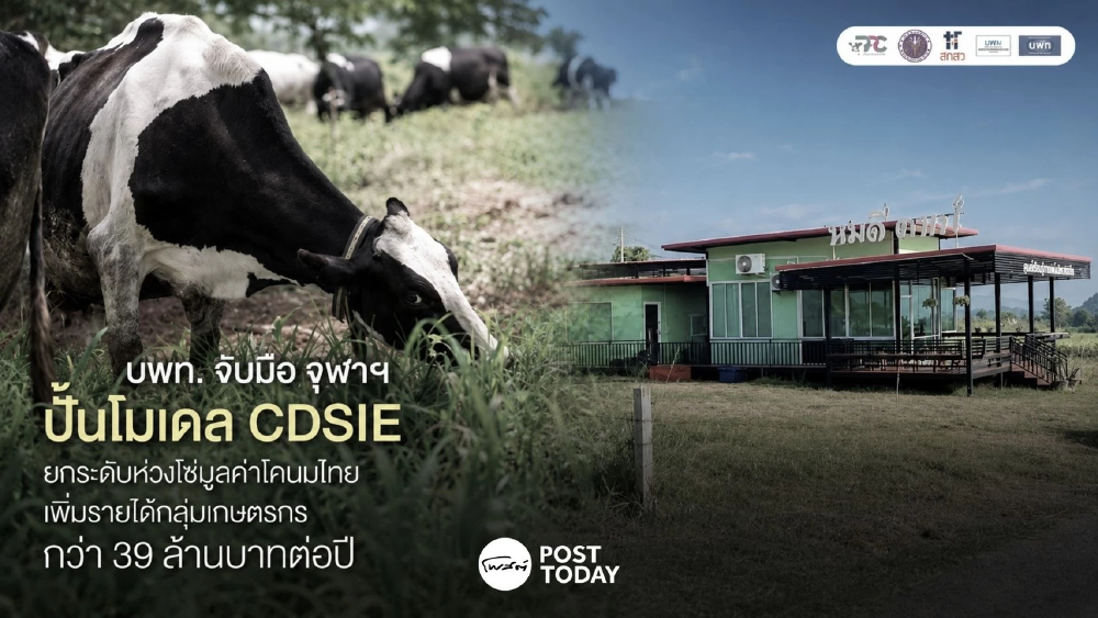 จุฬาฯ-บพท. ปั้น CDSIE พลิกห่วงโซ่มูลค่าโคนมไทย หนุนรายได้เกษตรกรโต 39 ล้านบาท จุฬาฯ-บพท. ปั้น CDSIE พลิกห่วงโซ่มูลค่าโคนมไทย หนุนรายได้เกษตรกรโต 39 ล้านบาท