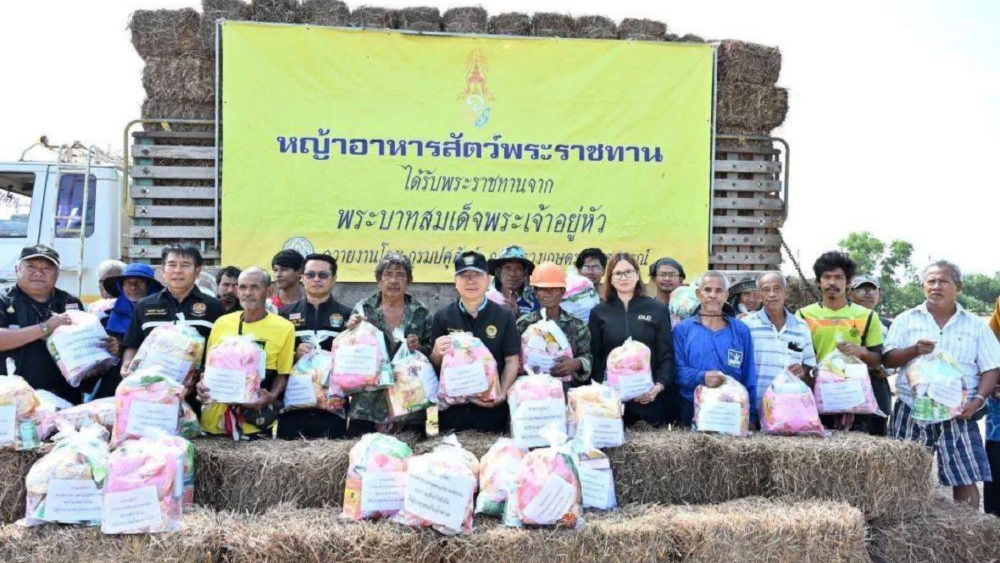 "สุริยะ" สั่งกรมปศุสัตว์เตรียมหน่วยสัตวแพทย์–แผนอพยพสัตว์ รับมือฝน–น้ำท่วม