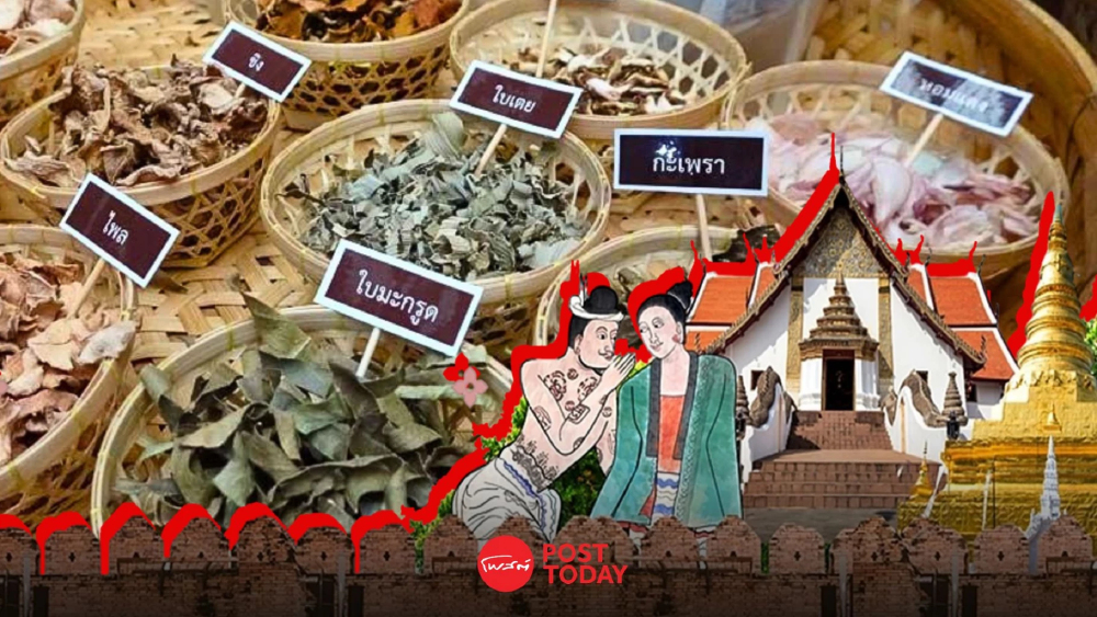 เปิดมิติใหม่ 'น่าน' เมืองแห่งภูมิปัญญา ต่อยอดตำรายาโบราณ 700 ปีสู่ระดับสากล