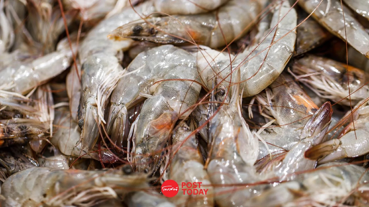 นายกสมาคมกุ้งไทย หนุน "สุริยะ" เจรจามาเลเซีย แก้ปมปลากะพง