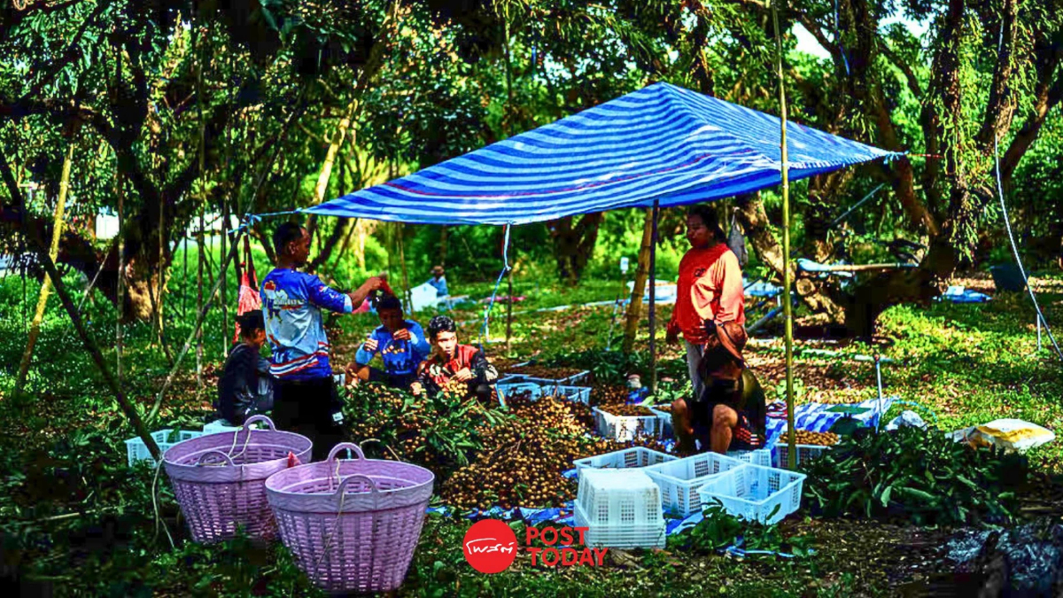 UN ชูไทยต้นแบบภูมิภาค ดึงผู้ลี้ภัยเมียนมา เข้าตลาดแรงงานสำเร็จ UN ชูไทยต้นแบบภูมิภาค ดึงผู้ลี้ภัยเมียนมา เข้าตลาดแรงงานสำเร็จ