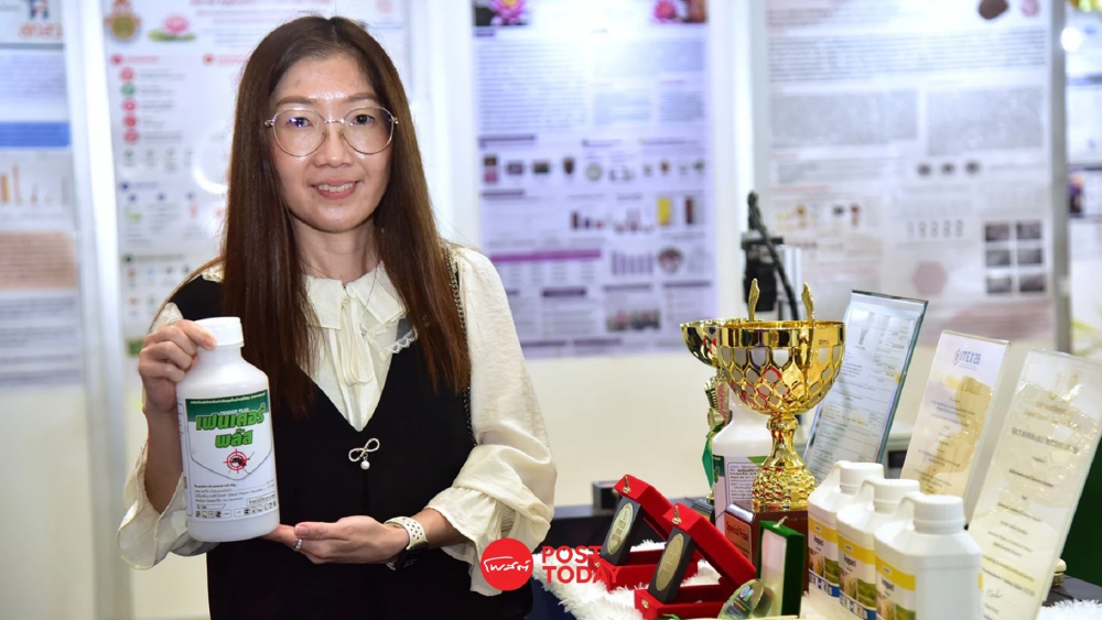 มทร.ธัญบุรี ปั้น ‘สะค้าน’ สมุนไพรไทย ฮีโร่กำจัดยุงลาย ต่อยอดเชิงพาณิชย์ มทร.ธัญบุรี ปั้น ‘สะค้าน’ สมุนไพรไทย ฮีโร่กำจัดยุงลาย ต่อยอดเชิงพาณิชย์
