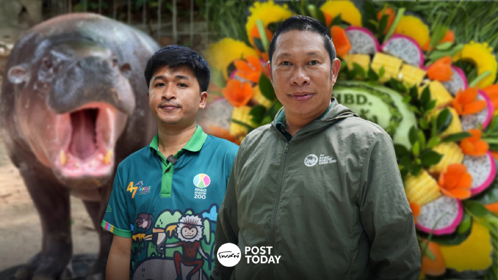 2 ปี ‘หมูเด้ง’ ฟีเวอร์ สวนสัตว์เปิดเขาเขียวเตรียมยกเสาเอก ‘Hippo Village’ อาณาจักรฮิปโประดับเวิลด์คลาส