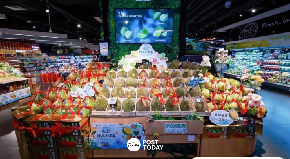 DITP เปิดแผนส่งออกผลไม้ บุกตลาดใหม่ทั่วโลก ดันทุเรียนแตะ 1 ล้านตัน