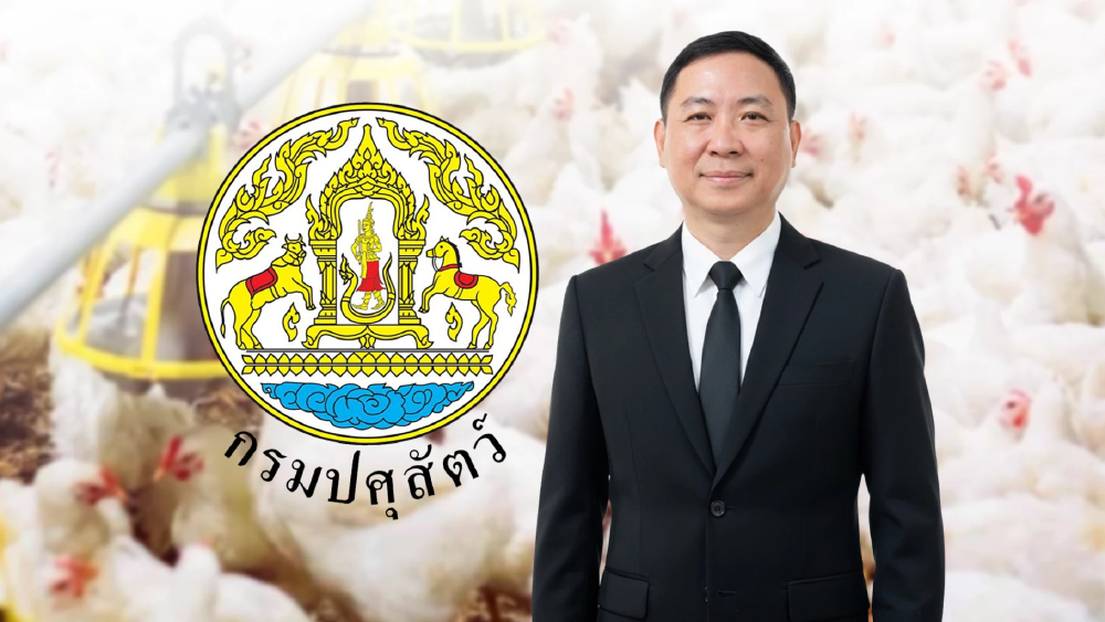 ปศุสัตว์แจง จีนแจ้งความประสงค์ส่งออกเนื้อสัตว์ปีกมาไทย อยู่ระหว่างศึกษาข้อกฎหมายและประเมินความเสี่ยง ปศุสัตว์แจง จีนแจ้งความประสงค์ส่งออกเนื้อสัตว์ปีกมาไทย อยู่ระหว่างศึกษาข้อกฎหมายและประเมินความเสี่ยง