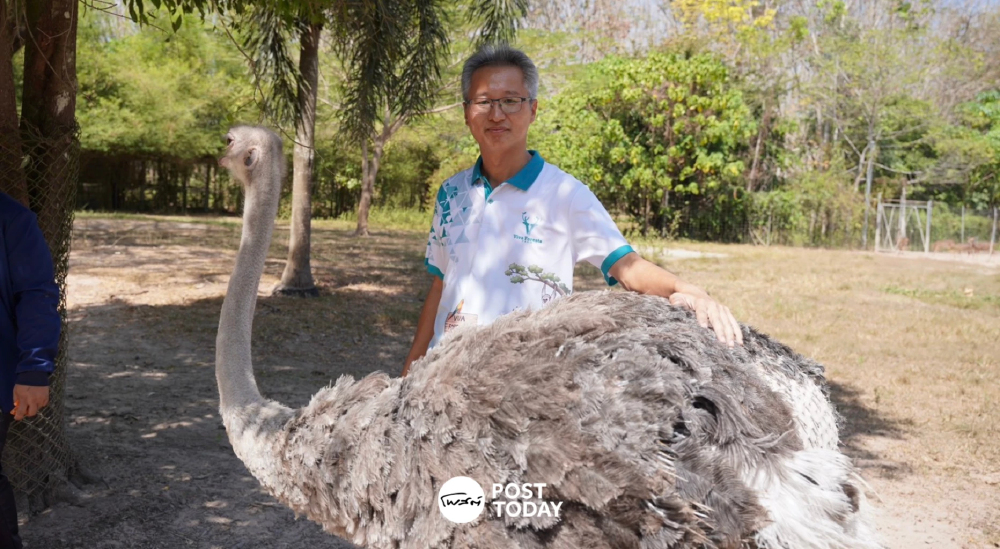 ถอดแนวคิดอดีตวิศวกร ปั้นฟาร์มสัตว์ 70 ชนิดแลนด์มาร์ก จ.จันทบุรี ถอดแนวคิดอดีตวิศวกร ปั้นฟาร์มสัตว์ 70 ชนิดแลนด์มาร์ก จ.จันทบุรี
