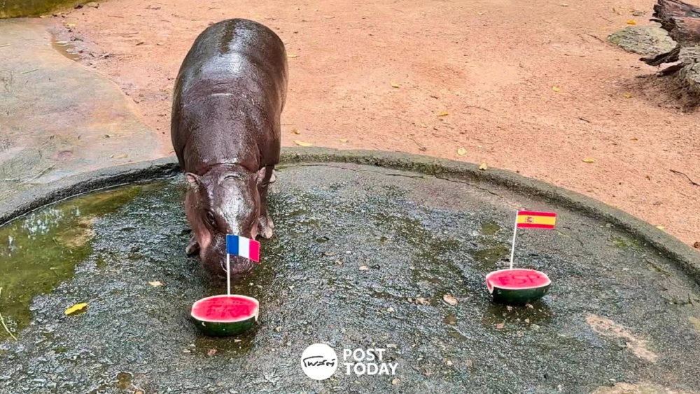 หมูเด้งทายผลบอลโลก 2026 ฟันธง! ฝรั่งเศส-อังกฤษ เข้ารอบรองชนะเลิศ