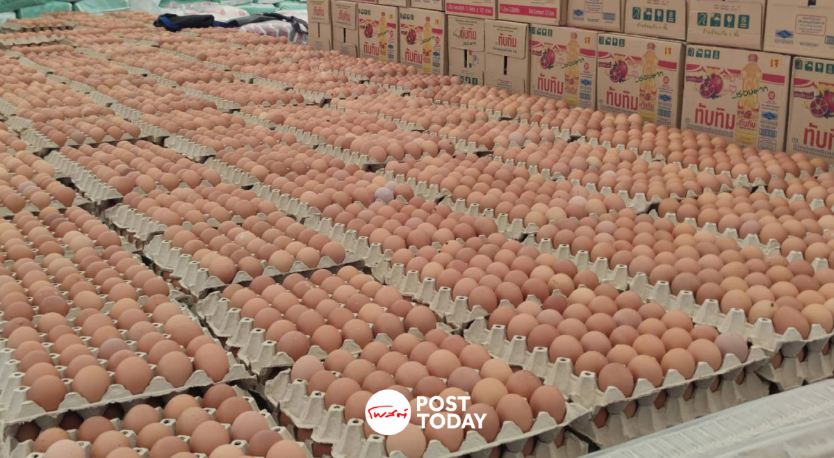 เปิดจุดขาย “ไข่ไก่ไทยช่วยไทย” ทั่วประเทศ 3.42 ล้านฟอง ถูกกว่าท้องตลาด 10% เปิดจุดขาย “ไข่ไก่ไทยช่วยไทย” ทั่วประเทศ 3.42 ล้านฟอง ถูกกว่าท้องตลาด 10%