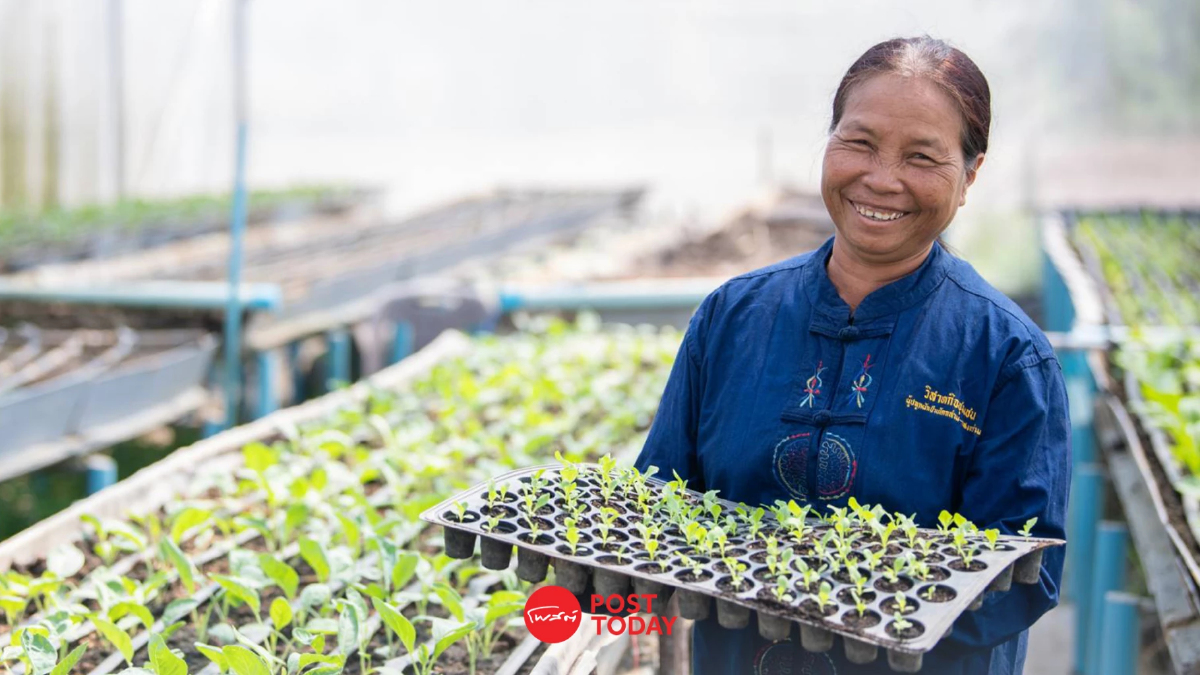 วิสาหกิจชุมชนผู้ปลูกผักบ้านโคกล่ามฯ แก้วิกฤต สู่โอกาส บุก Modern Trade วิสาหกิจชุมชนผู้ปลูกผักบ้านโคกล่ามฯ แก้วิกฤต สู่โอกาส บุก Modern Trade
