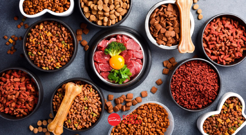 ตลาดอาหารสัตว์เลี้ยงโต ไทยโกยส่งออกแสนล้าน รับเทรนด์เลี้ยงสัตว์เหมือนครอบครัว