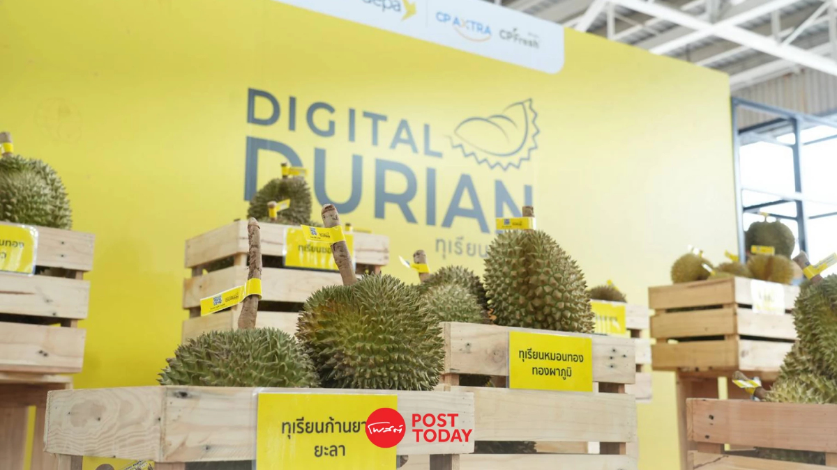 ดีอี เดินหน้า โครงการ ทุเรียนดิจิทัล สร้างมูลค่าเศรษฐกิจ 300 ล้าน ดีอี เดินหน้า โครงการ ทุเรียนดิจิทัล สร้างมูลค่าเศรษฐกิจ 300 ล้าน