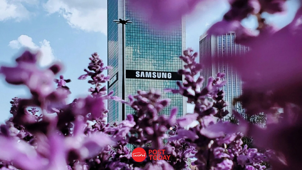 วัดใจ Samsung! กำไรทะลุฟ้า แต่ราคาไม่ขยับ ตลาดหุ้นผวาวัฏจักรชิปขาลง